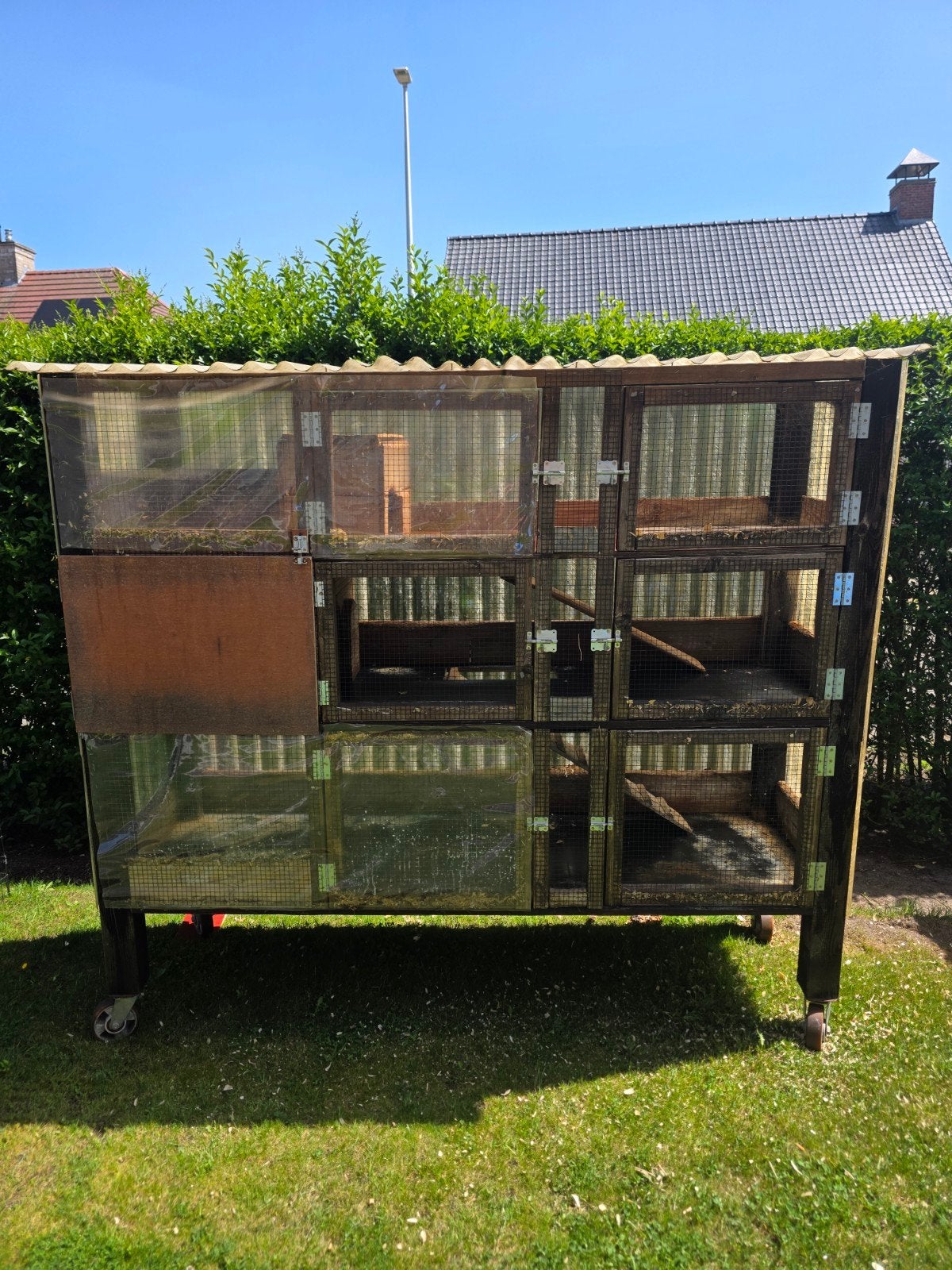 Cavia / Konijnenhok., Ophalen, 110 cm of meer, Cavia, 90 cm of meer