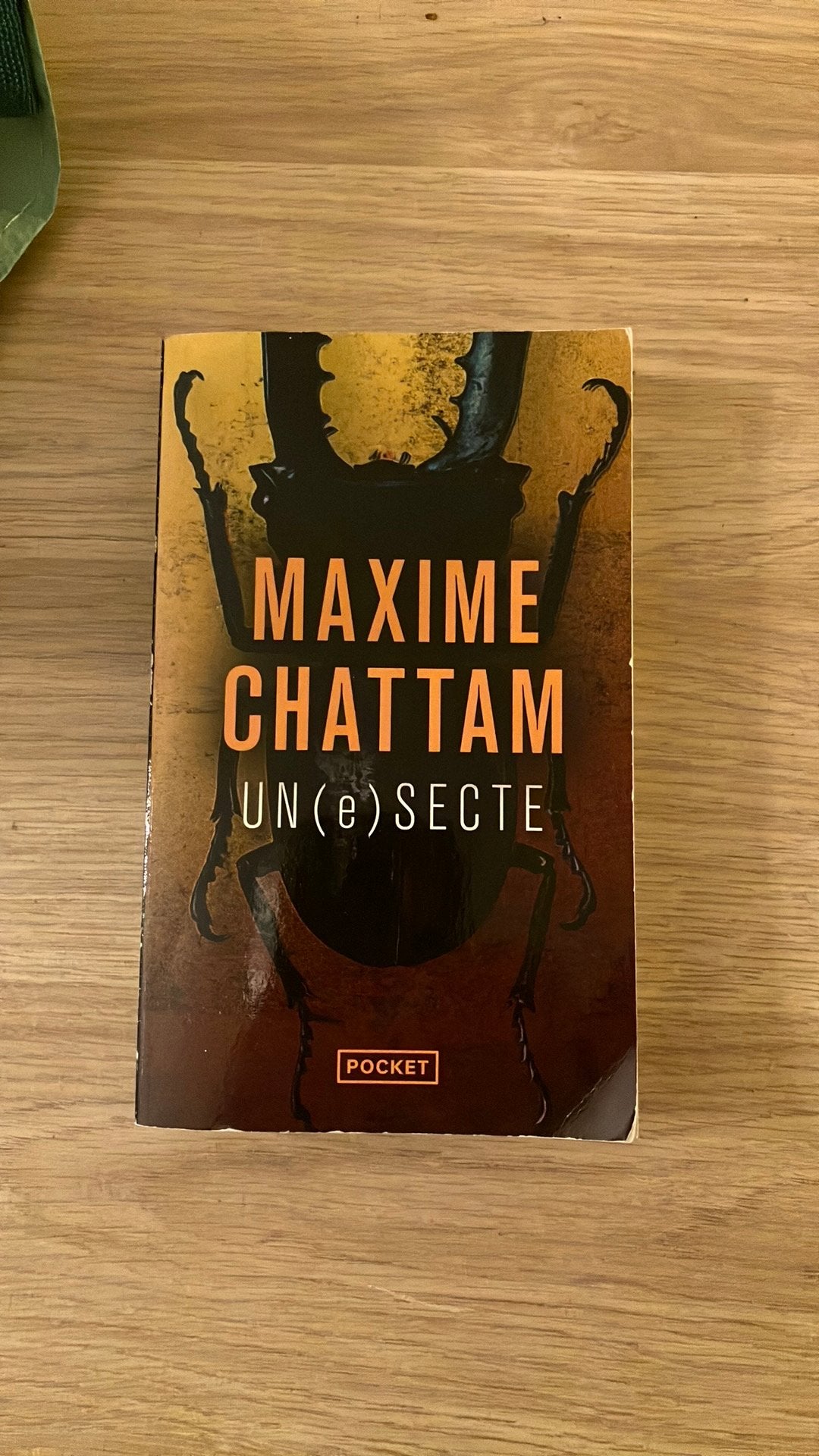 Poche Maxime Chattam - UN(e) SECTE, Ophalen, Gelezen