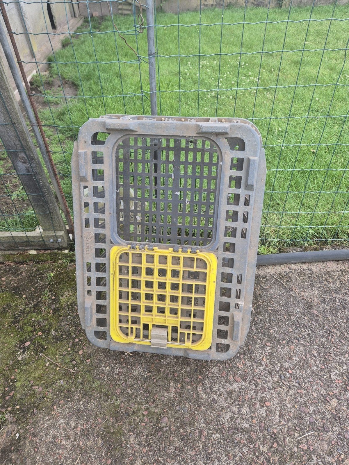 Plastic bak voor dierentransport, Dieren en Toebehoren, Ophalen