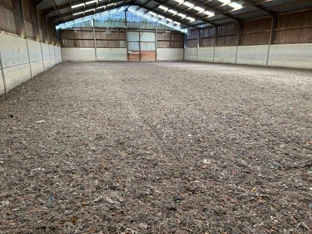 Pension pour chevaux, Animaux & Accessoires