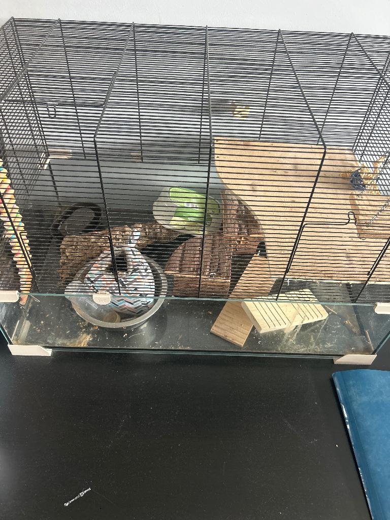 Hamsterkooi, Ophalen, Kooi, Gebruikt, 60 tot 90 cm
