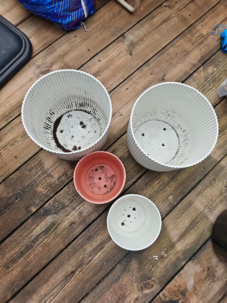 Pots de fleurs Elho, Enlèvement