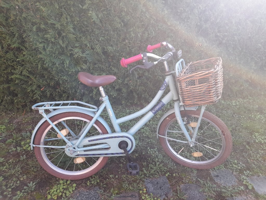 Blauwe fiets Cargo Alpina, Fietsen en Brommers, Ophalen