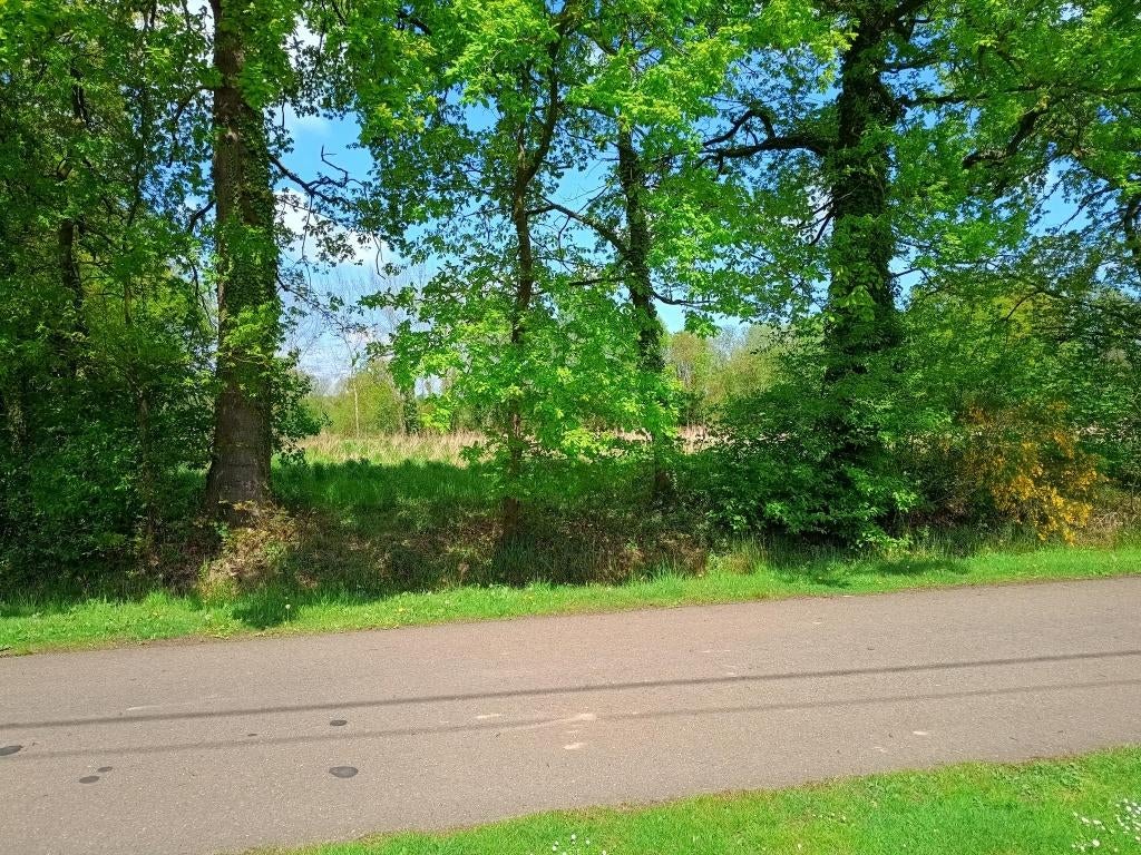 Landbouwgrond, unieke ligging, Linkhout-Lummen, Verkoop zonder makelaar, 1500 m² of meer