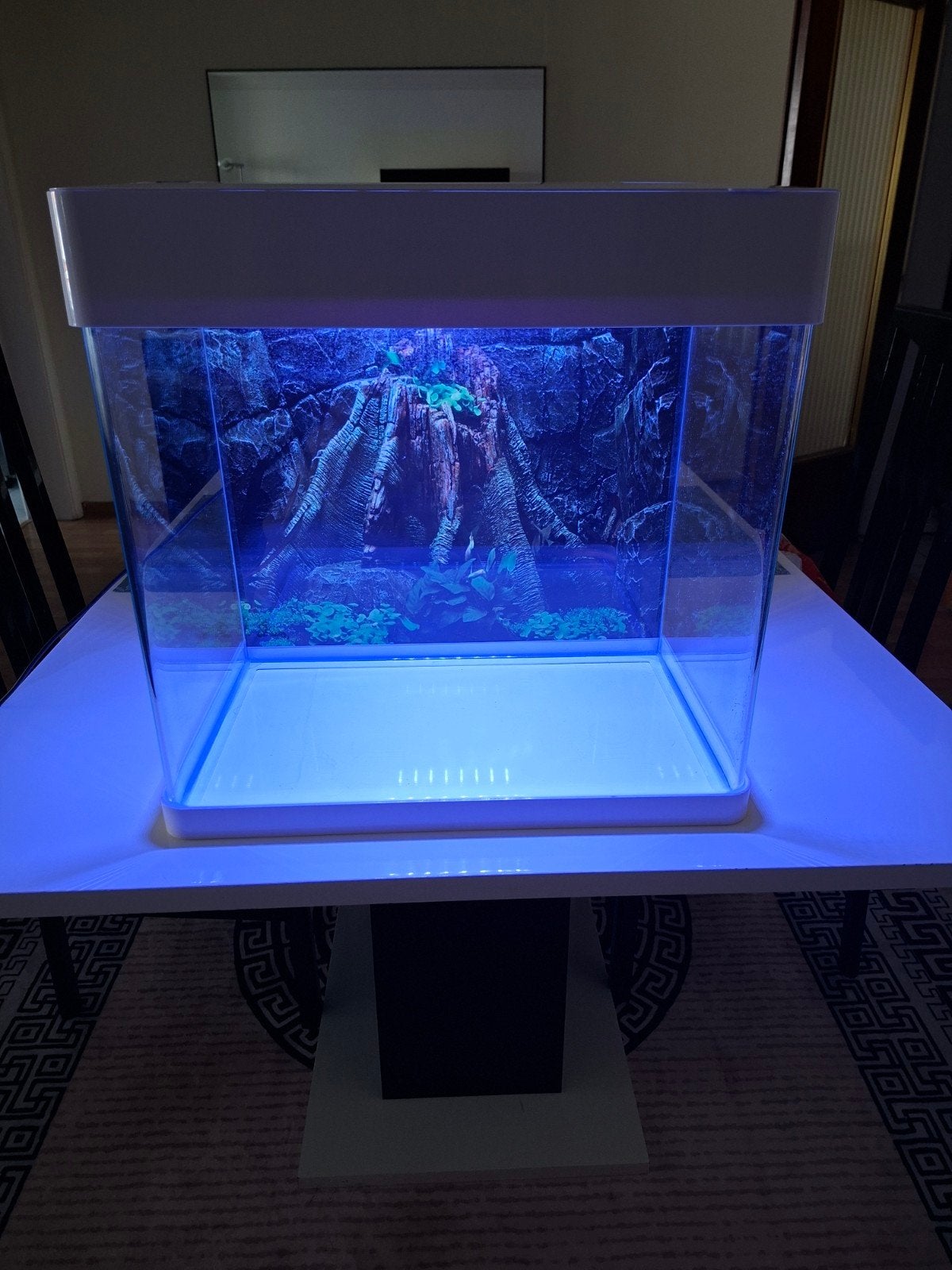 Aquarium LED 40L avec filtres , et accessoires, Enlèvement ou Envoi