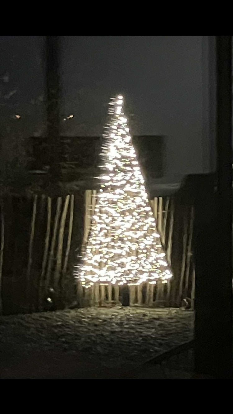 Kerstboom voor buiten, Enlèvement, Neuf, Bois