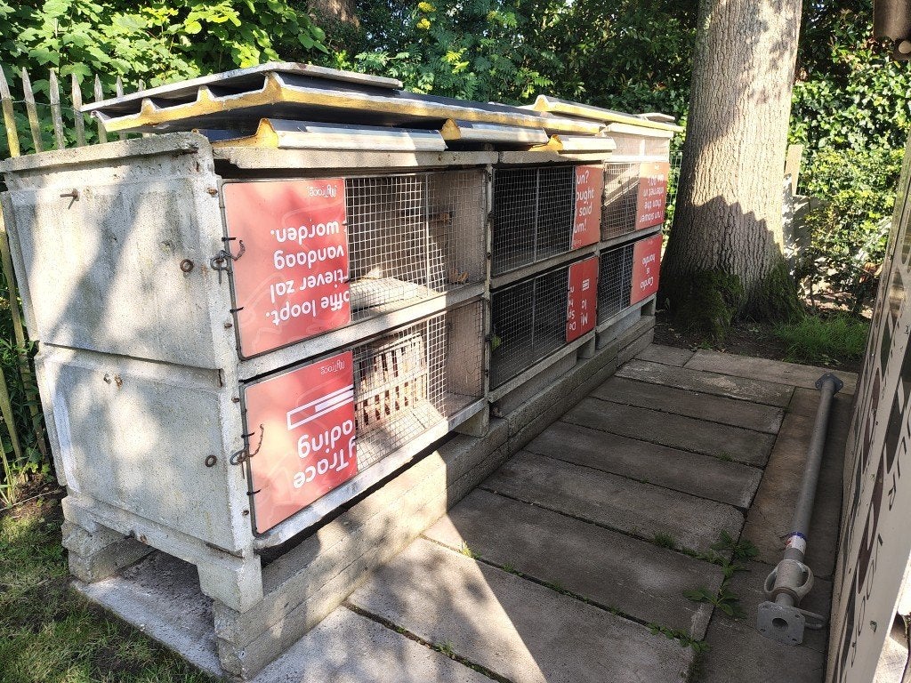 Cages à lapins en béton, Enlèvement, Niche
