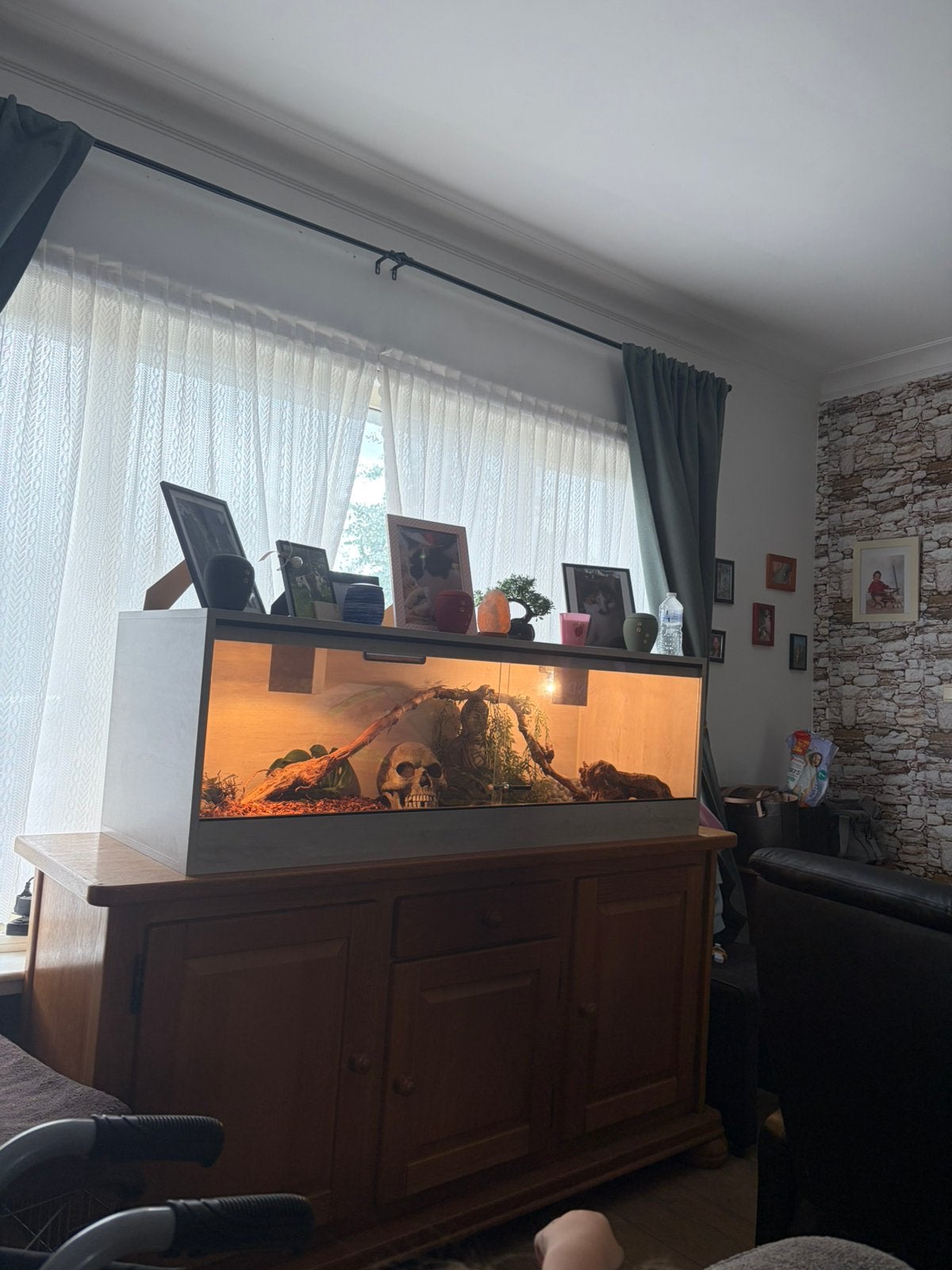Terrarium met boa, Dieren en Toebehoren, Slang