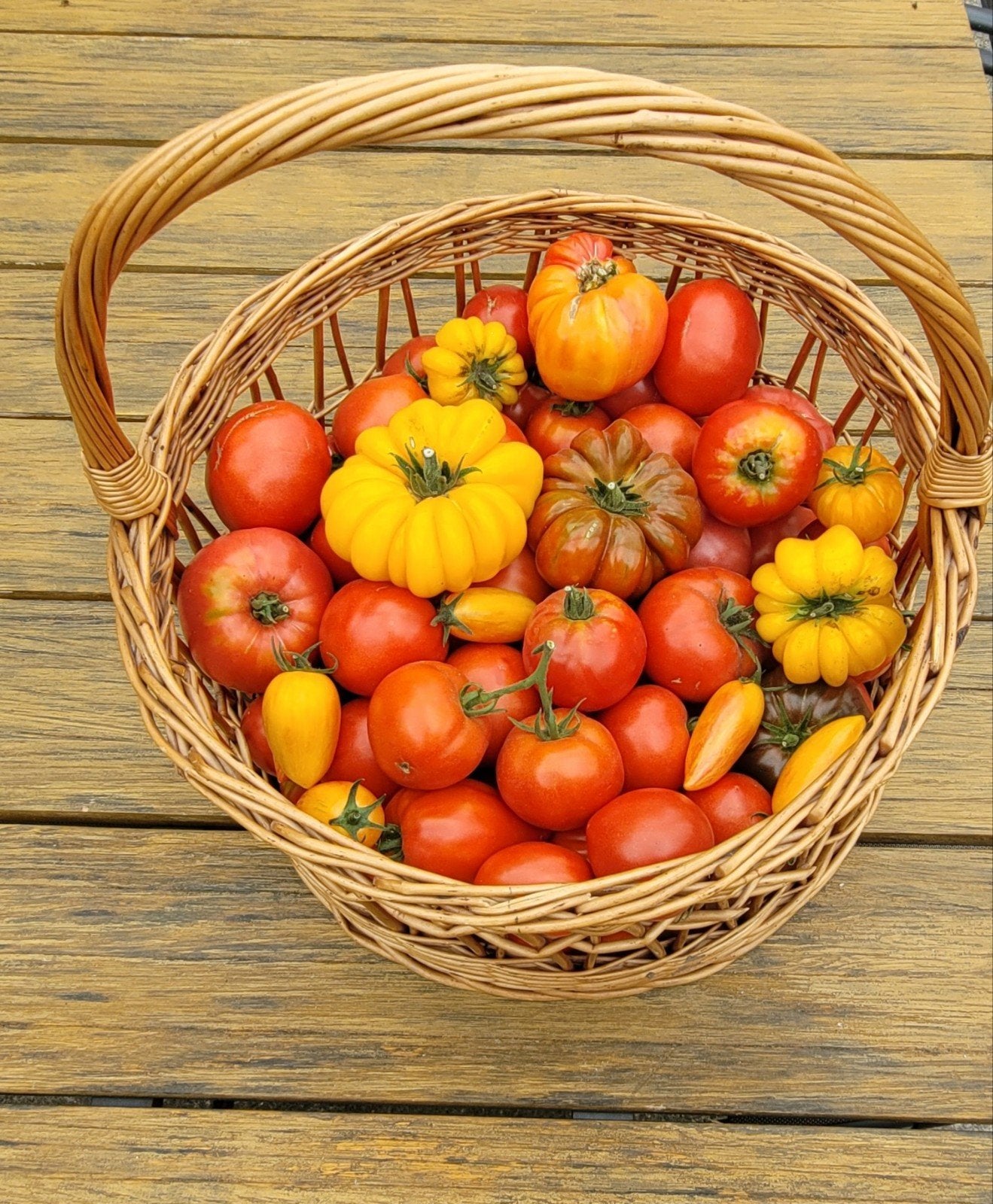 tomaten, Ophalen