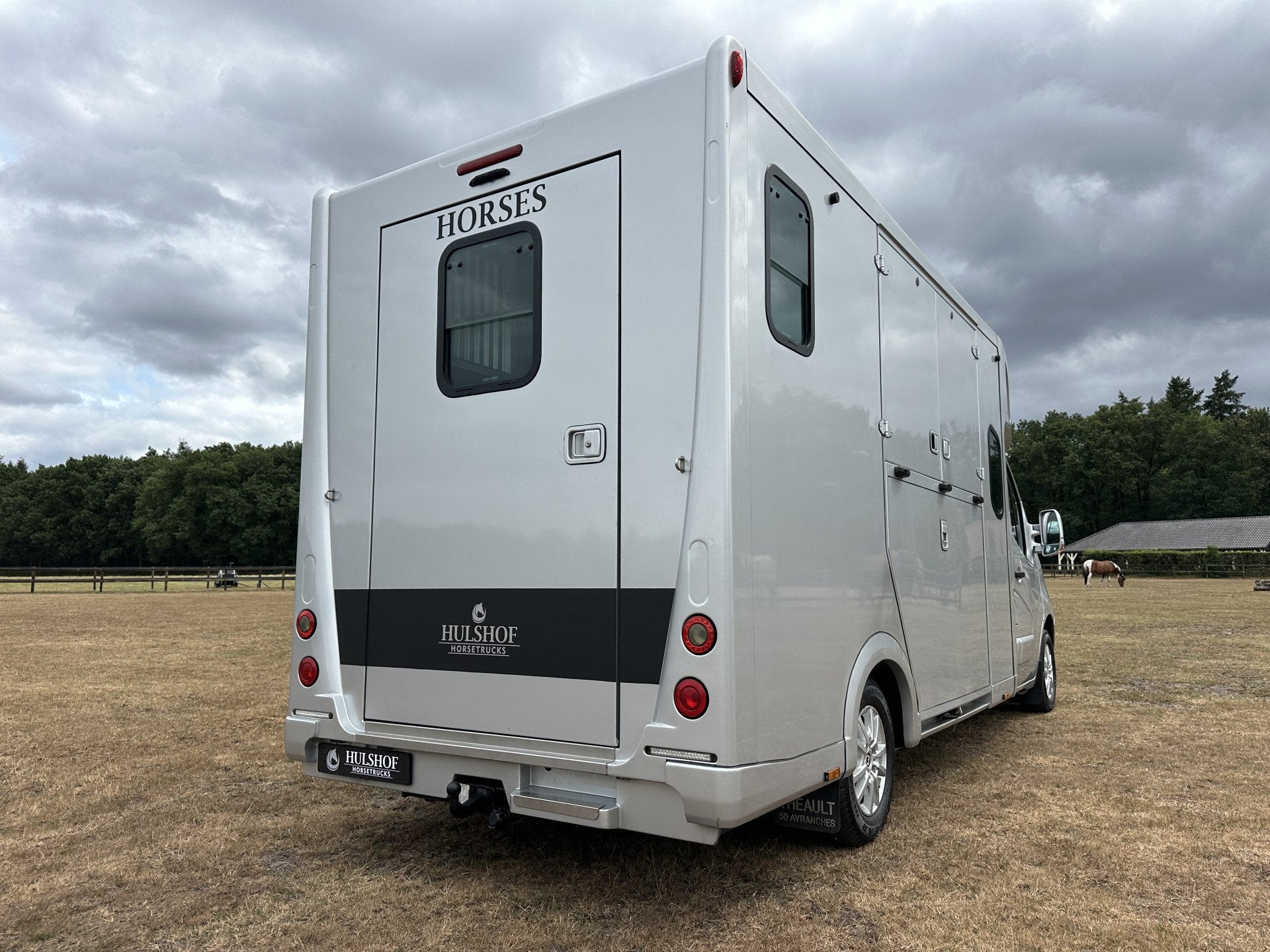 Renault Master THEAULT 2-paards paardenvrachtwagen dubbel ca, Dieren en Toebehoren, Gebruikt, Info@hulshof-trading.nl, Overige typen