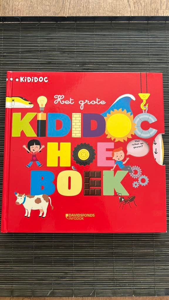 Ina Vandewijer - Het grote kididoc hoe boek, Ophalen of Verzenden, Ina Vandewijer