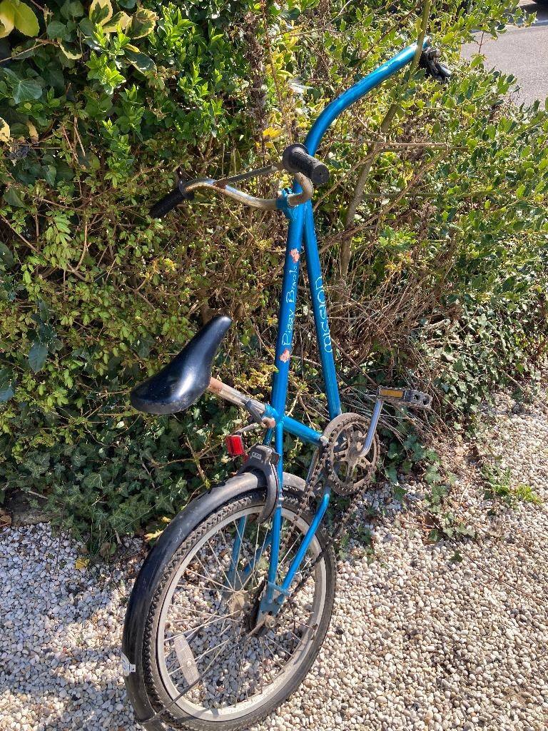 Vélo remorque, Vélos & Vélomoteurs, Enlèvement, Utilisé, Autre