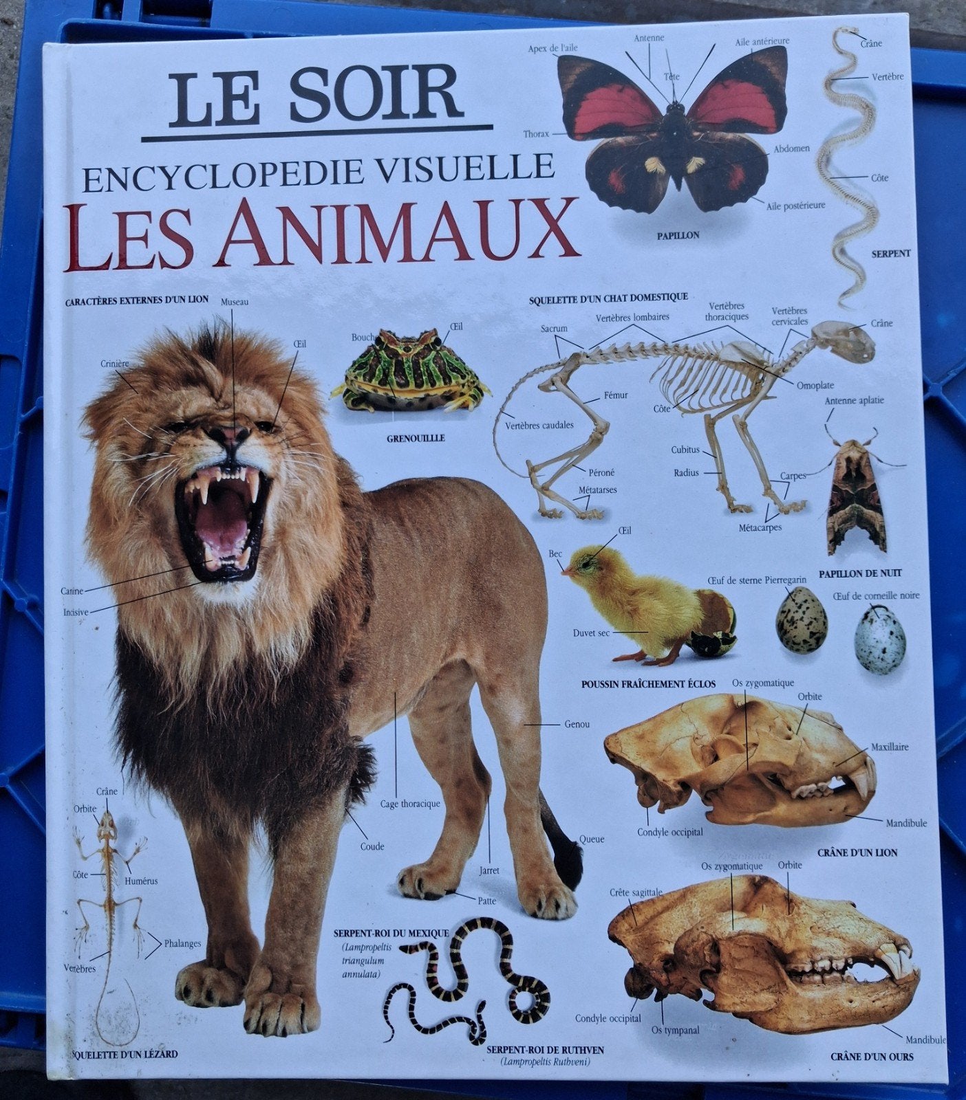 Encyclopédie sur les animaux, Enlèvement, Neuf
