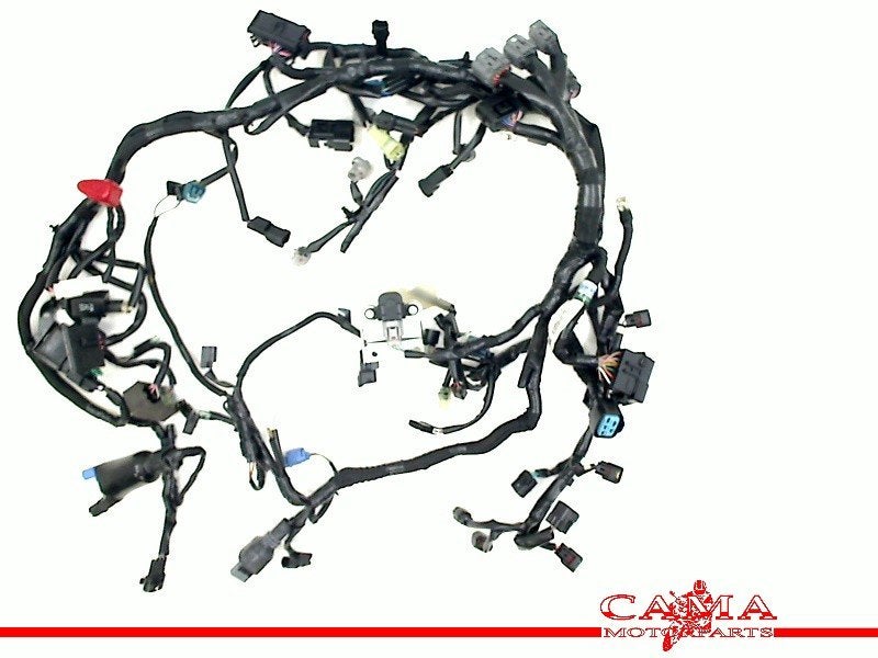 KABELBOOM Kawasaki Z 900 2017-2019 (Z900 ZR900) (260312288), Motoren, Dhr. S. di Majo, Gebruikt, Info@cama-motorparts.nl, P.J. Troelstraweg 8 8
3144 CX  MAASSLUIS, NL