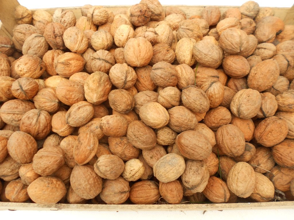 noix a vendre, Enlèvement