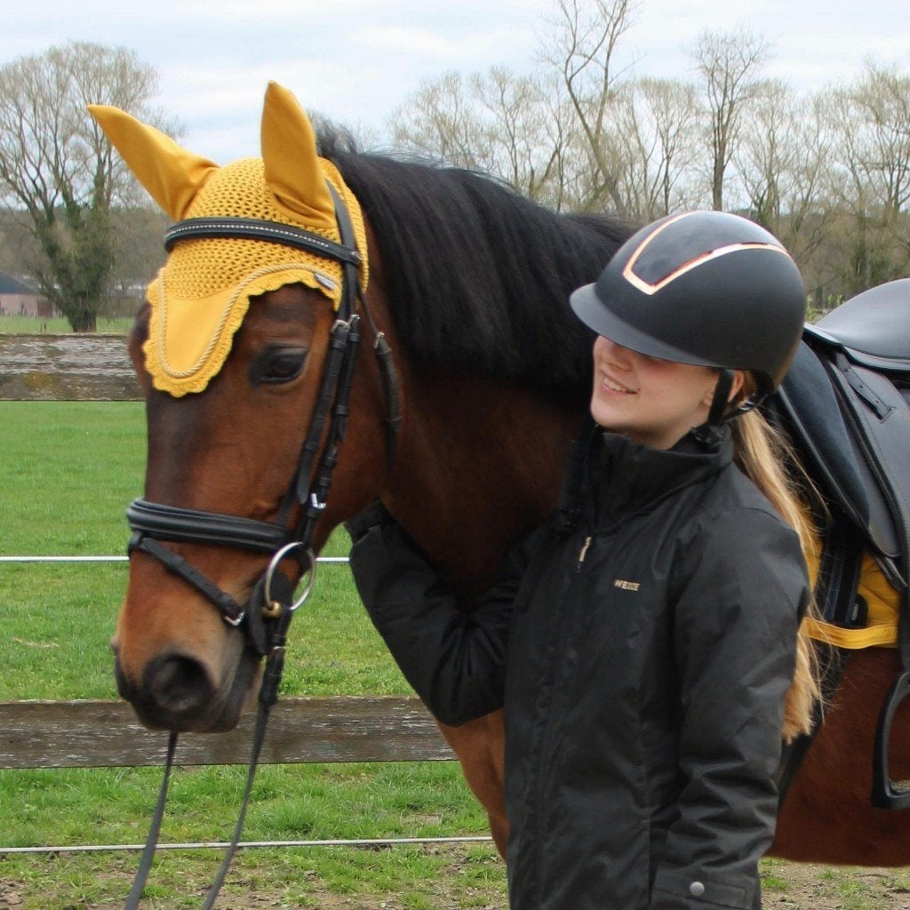 17jarige allrounder ruin (PRE), Animaux & Accessoires, Chevaux, Hongre, L, Moins de 160 cm, 11 ans ou plus, Cheval de saut, Avec pedigree