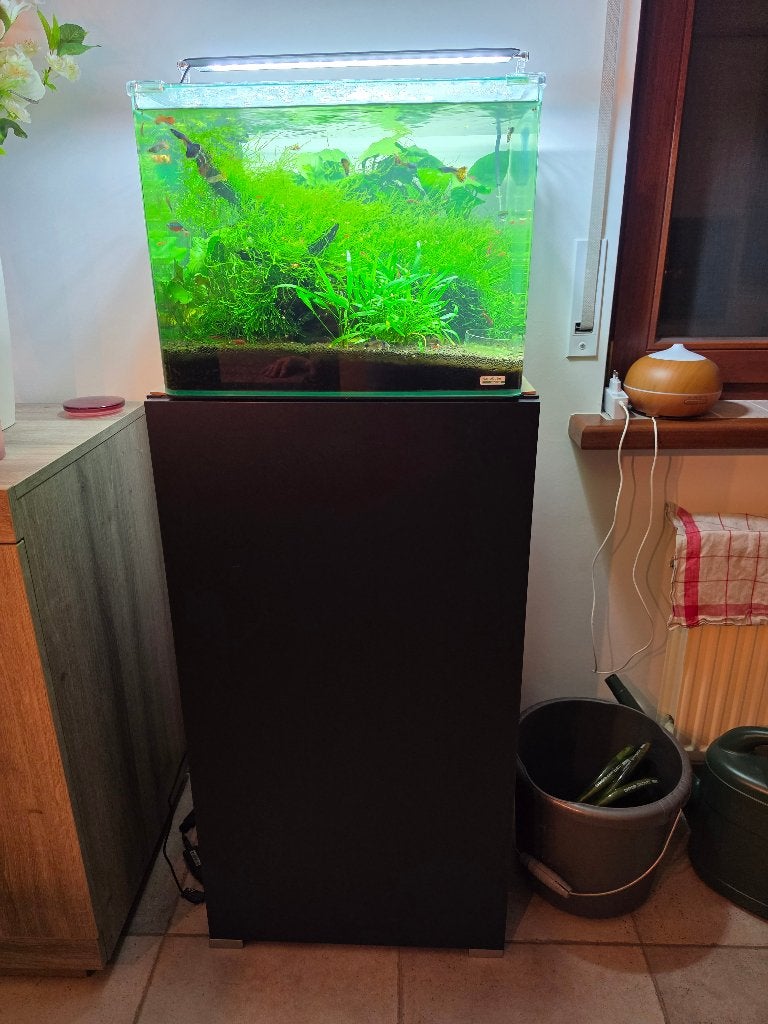 Aquarium 55 liter + CO2 installatie + kast + toebehoren etc, Enlèvement, Comme neuf