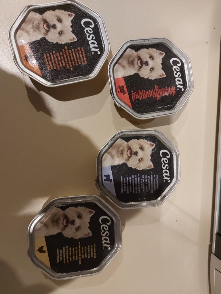 Alimentation chien senior, Animaux & Accessoires, Enlèvement, Chien