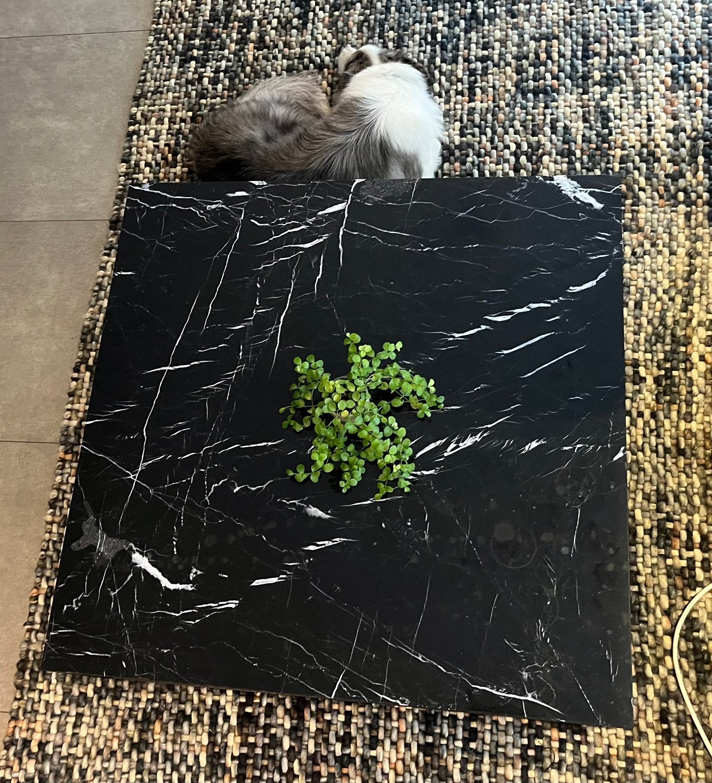 Salontafel met marmeren blad, Huis en Inrichting, Ophalen, Gebruikt, Vierkant