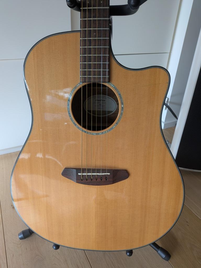 Guitare acoustique folk Breedlove