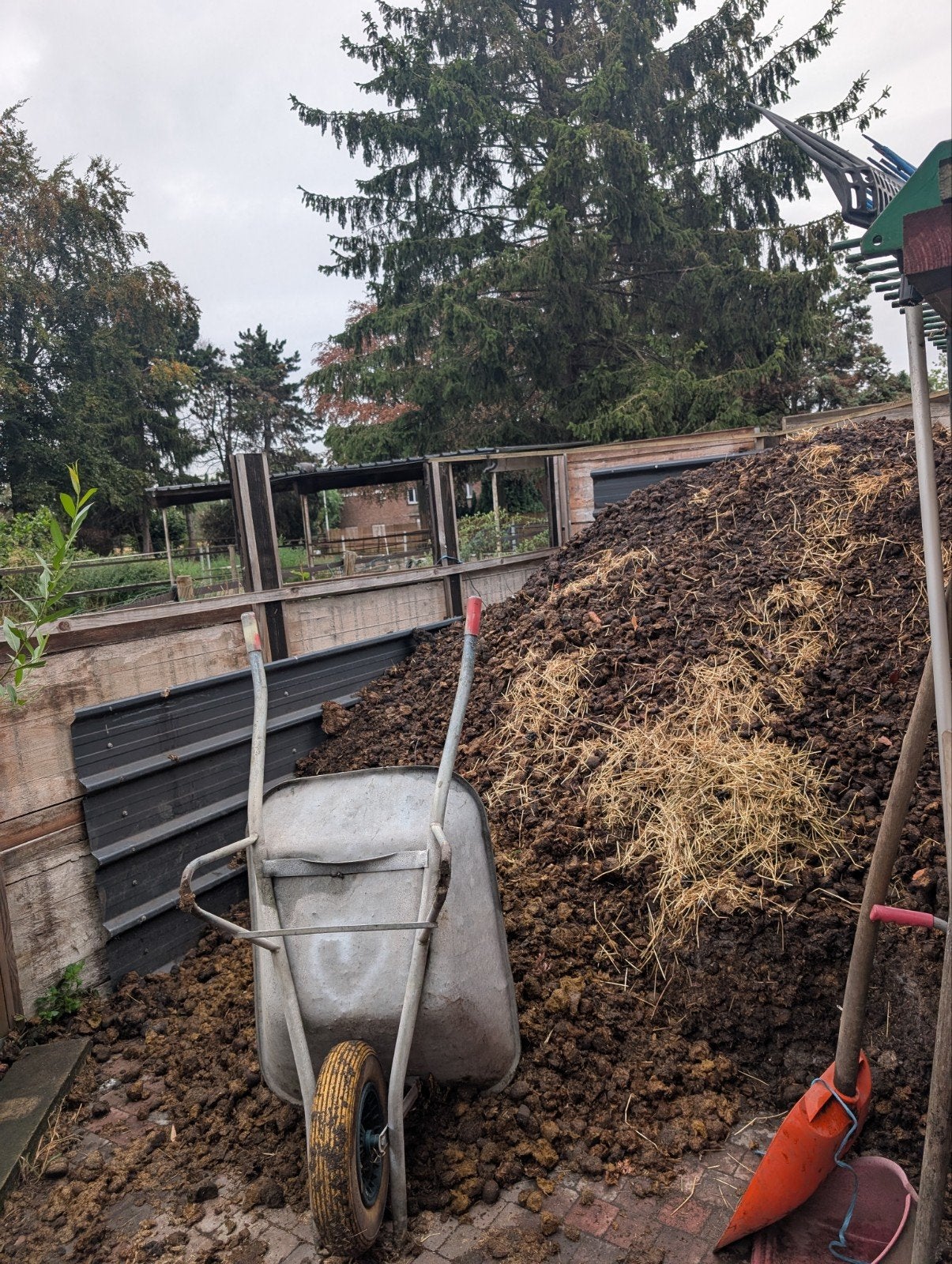 Gratis paardenmest, Tuin en Terras, Aarde en Mest, Ophalen