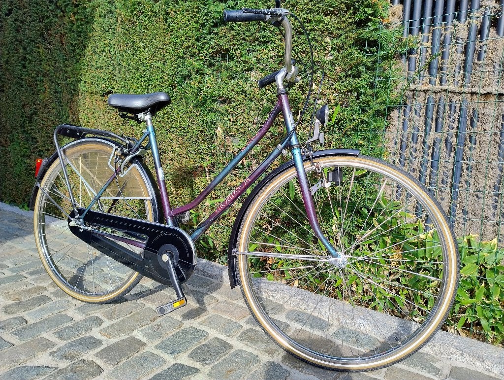 Thompson damesfiets – 3 versnellingen – INOX velgen, Fietsen en Brommers, Gebruikt, Velgrem, Versnellingen, Ophalen
