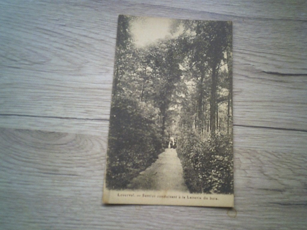 LOVERVAL: Sentier conduisant à La Laiterie du Bois, Enlèvement ou Envoi, Avant 1920, Non affranchie, Hainaut