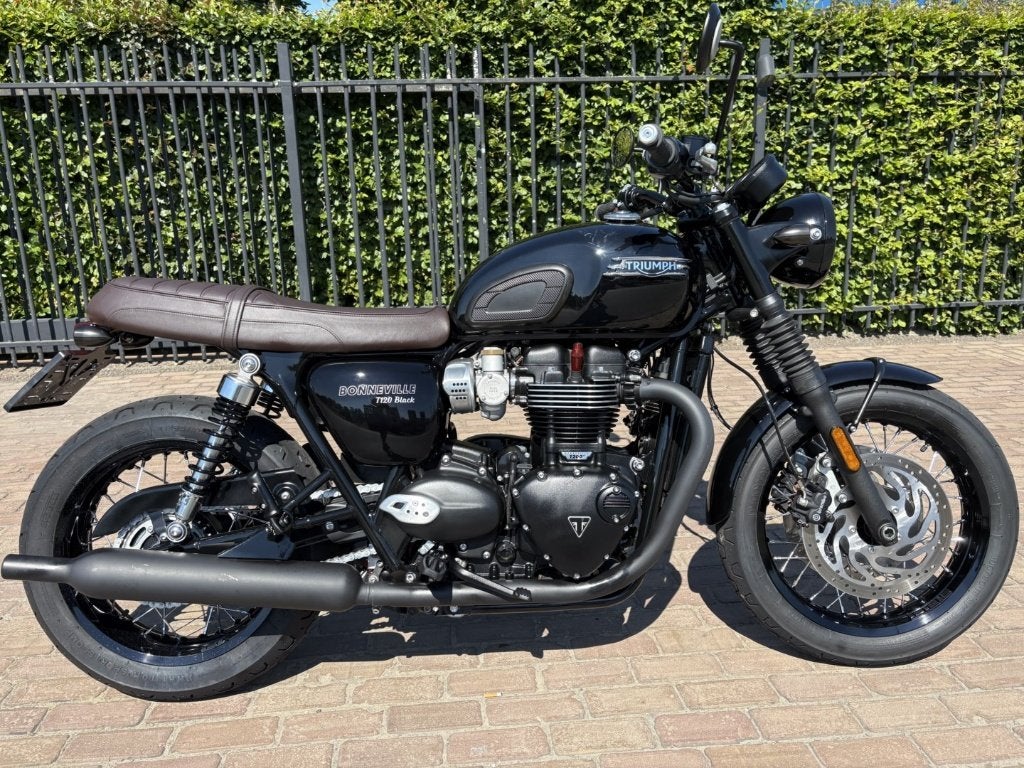 Triumph T 120 Black, Permis Moto A, Entreprise, Occasion, Plus de 35 kW