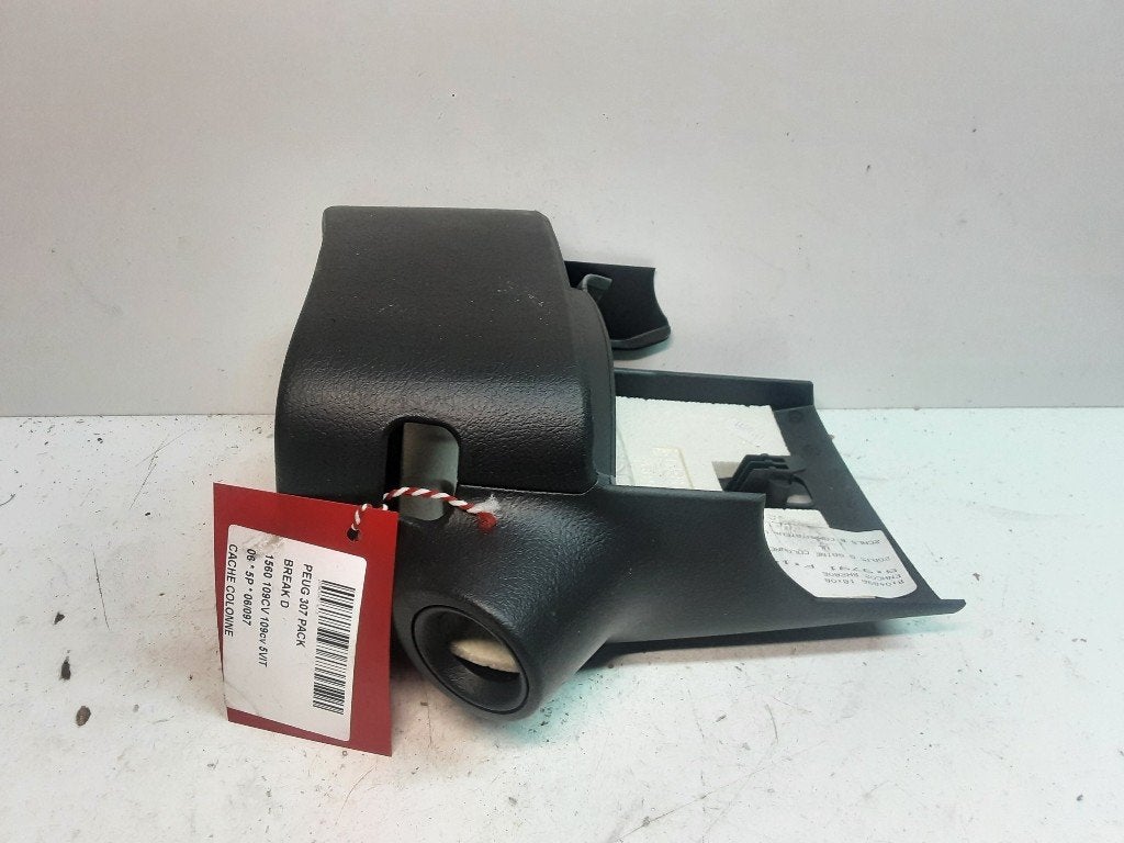 GARNITURE DE COLONNE DE DIRECTION Peugeot 307 SW (3H), Autos : Pièces & Accessoires, Kontakt-peugeot@peugeot.com, Utilisé, Peugeot Deutschland GmbH