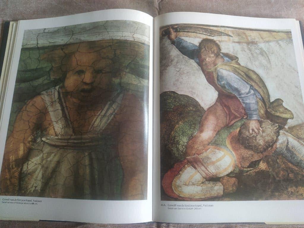 boek: het leven van Michel Angelo + het complete werk, Ophalen of Verzenden, Gelezen, Schilder- en Tekenkunst