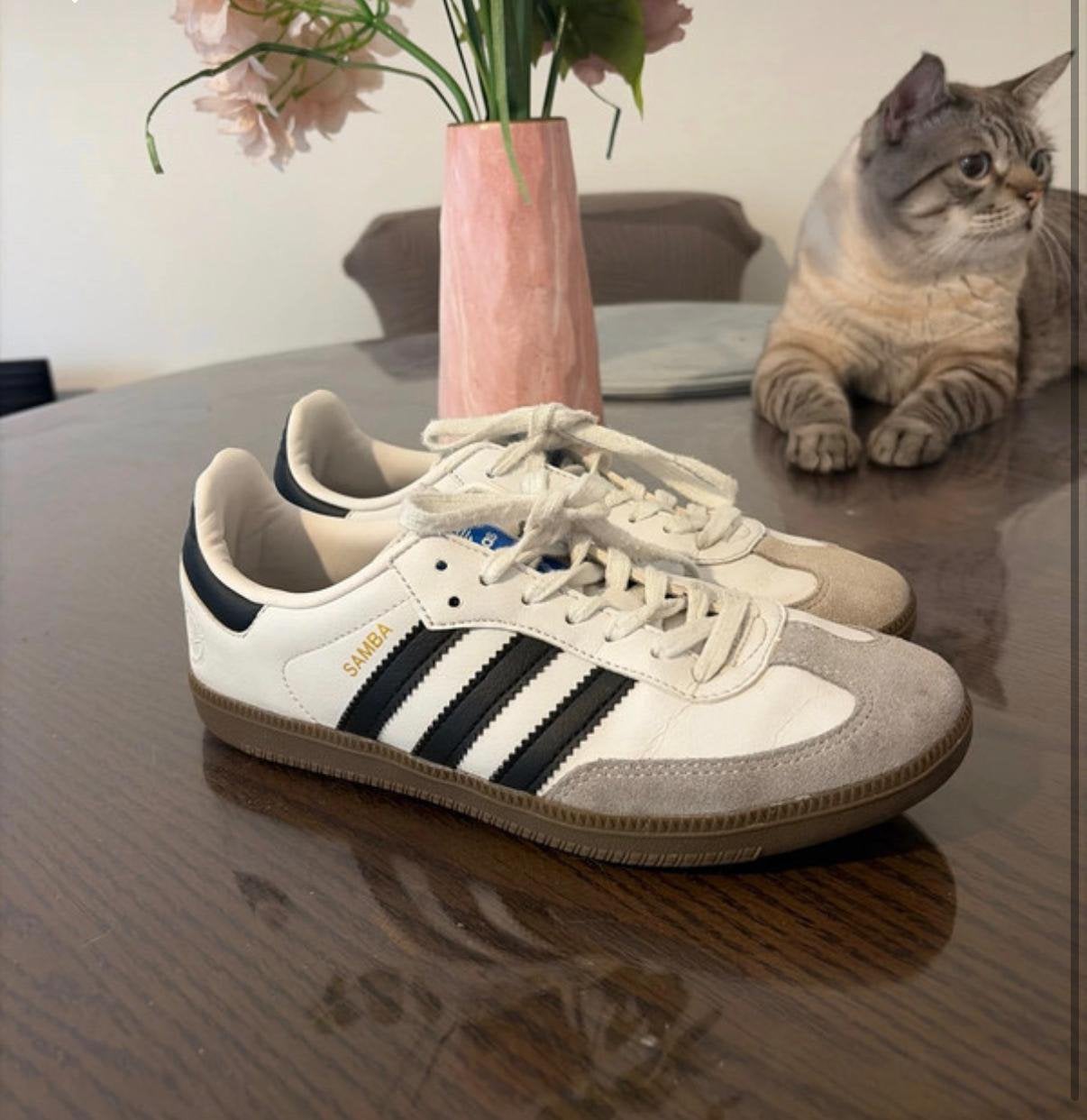 Adidas samba, Vêtements | Hommes, Chaussures, Enlèvement, Comme neuf