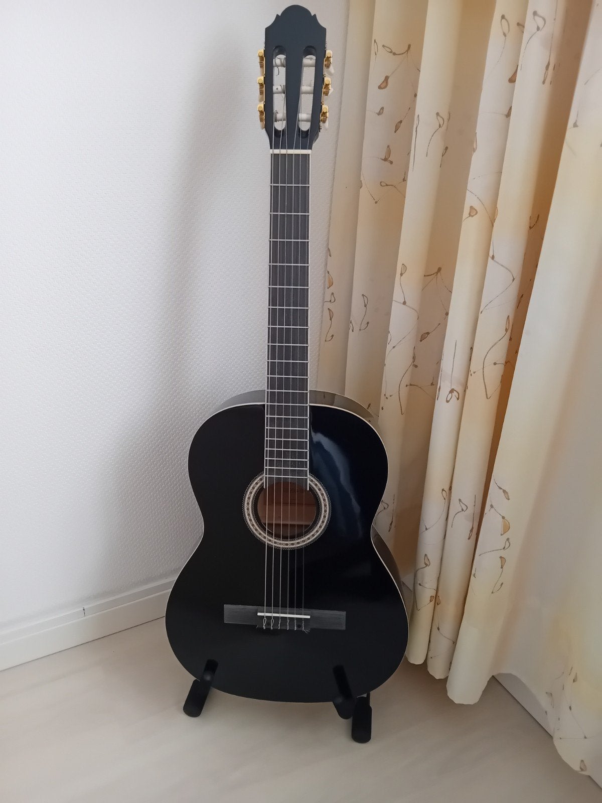 guitare Harley Benton, Enlèvement