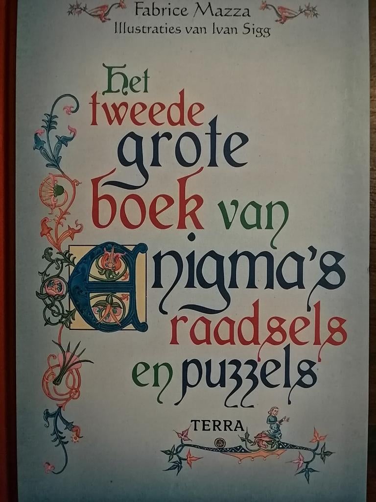 Het tweede grote boek van enigma's, raadsels en puzzels, Livres, Loisirs & Temps libre, Enlèvement ou Envoi