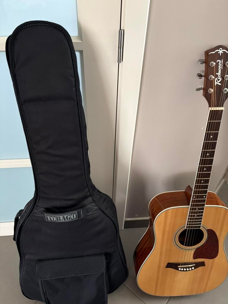 Western gitaar Richwood, Muziek en Instrumenten, Ophalen, Zo goed als nieuw