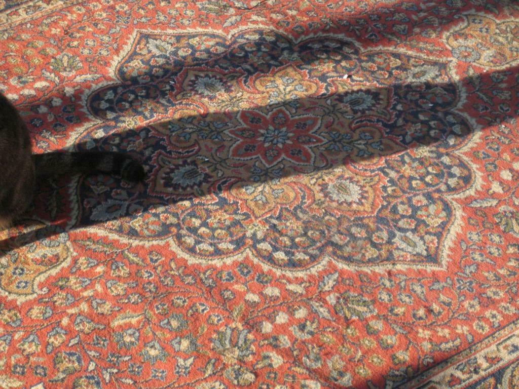 Tapis, Enlèvement, Utilisé, 200 cm ou plus, 150 à 200 cm