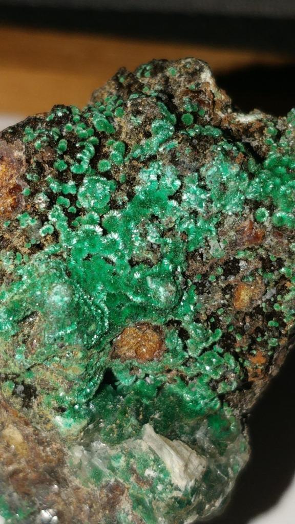 Malachite sur matrice provenant de Namibie, Enlèvement ou Envoi, Minéral