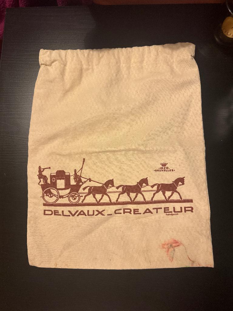 Delvaux tashoes, Enlèvement, Utilisé, Beige, Autres types