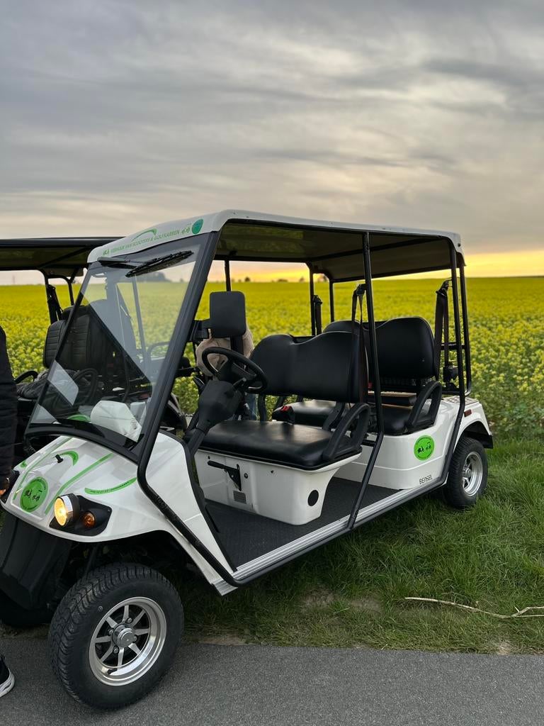 Straat legaal golfkarretje te koop, Enlèvement, Comme neuf, Voiturette de golf, Autres marques