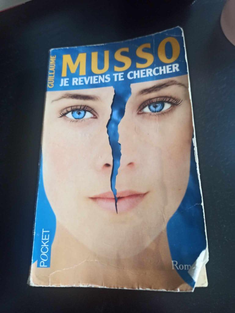 Je reviens te chercher de Guillaume Musso, Ophalen of Verzenden, Gelezen