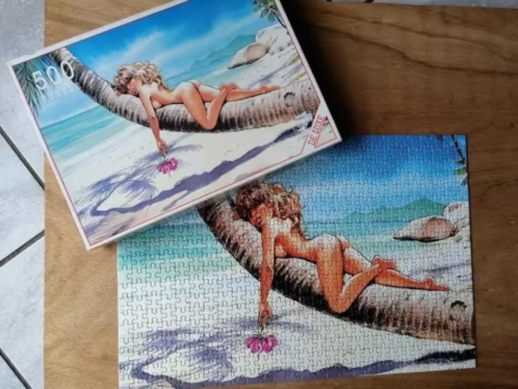 Puzzle 500 pièces de DANY, Hobby & Loisirs créatifs, Enlèvement ou Envoi, Puzzle