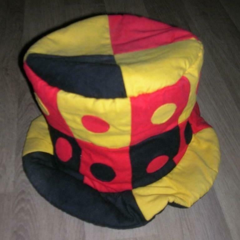 Carnaval  hoeden, Ophalen of Verzenden, Zo goed als nieuw, Accessoires