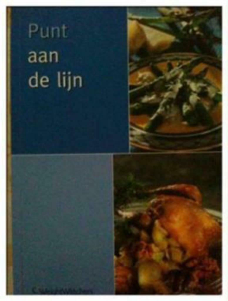 Punt aan de lijn, Weight Watchers, Ophalen of Verzenden, Gelezen