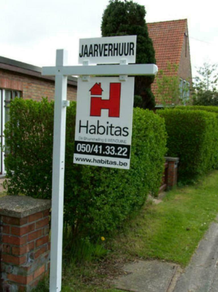 Te huur gezocht, Immo