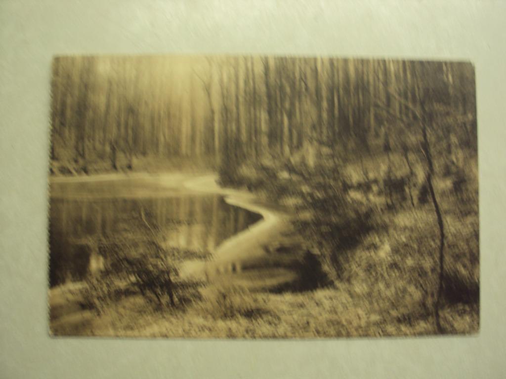 60072 - LIGUE DES AMIS DE LA FORET DE SOIGNES - ETANG, Envoi