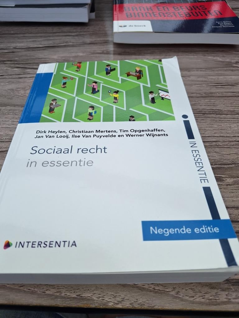 Dirk Leysen - Sociaal recht in essentie 9de editie, Boeken, Ophalen of Verzenden, Zo goed als nieuw, Dirk Leysen; Jan Van Looij; Werner Wijnants; Ilse Van Puyveld...