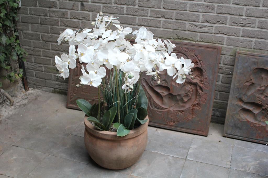 Terracotta met orchidee, 40 cm ou plus, 70 cm ou plus, Rond, Comme neuf