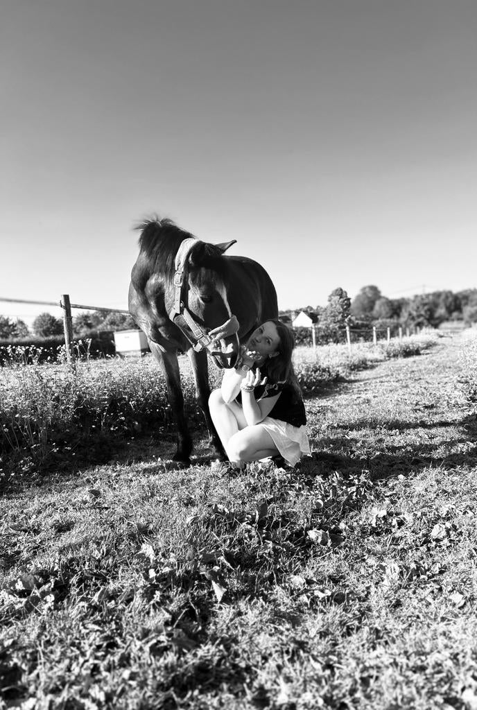 Ik zoek een verzorg pony of paard, Dieren en Toebehoren, Paarden