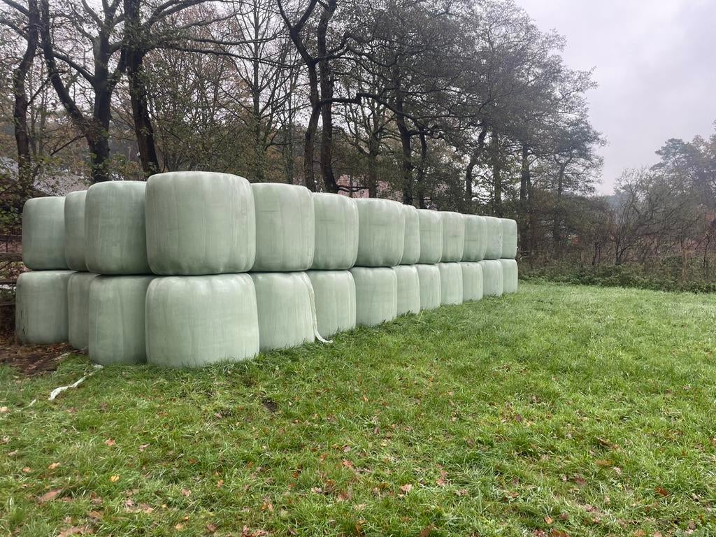 Hooi kwalitatief voor paarden, Enlèvement, Bétail