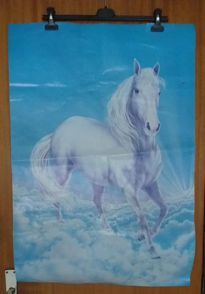 poster cheval Dream horse, Collections, Enlèvement ou Envoi, Utilisé
