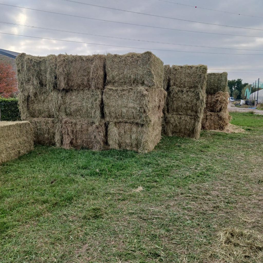 Hooi, grote pakken, Ophalen, Overige soorten